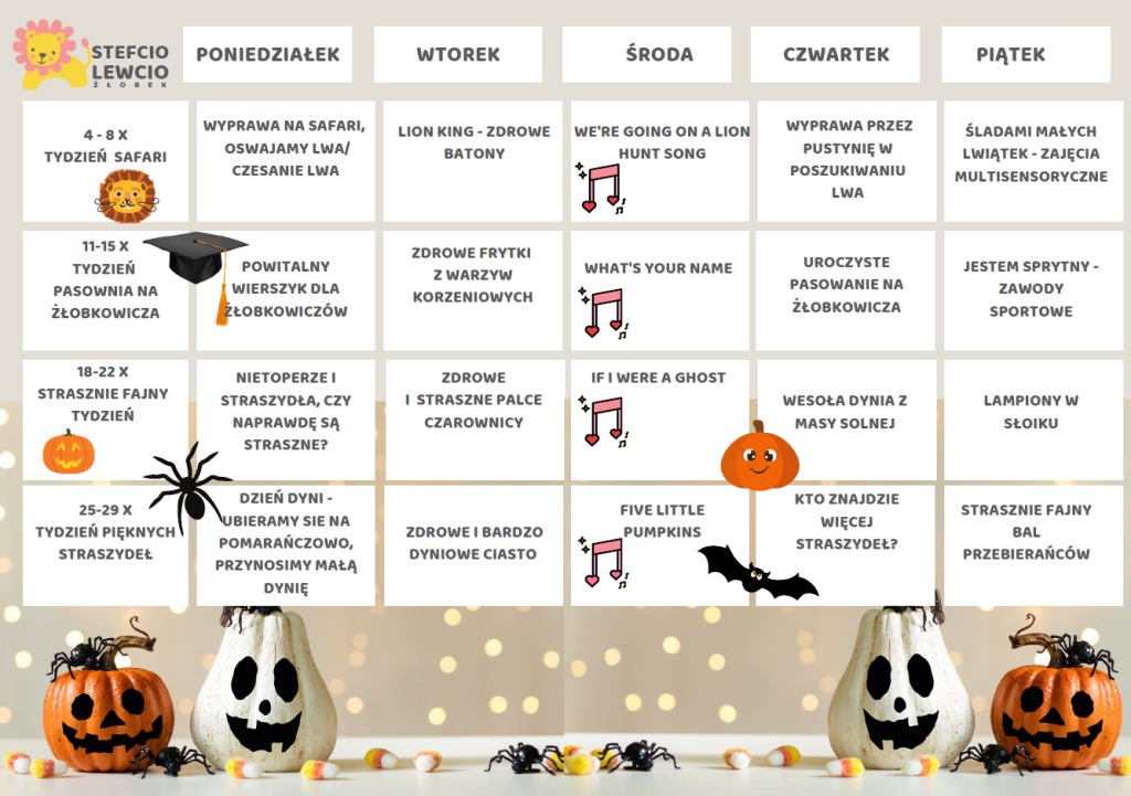 Organization of work in Stefcio Lewcio Daycares